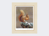 Squirrel-Nutkin-Print-Mounted-Print-Only