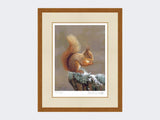 Squirrel-Nutkin-Print-Rustic-Country