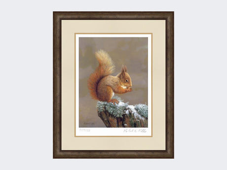 Squirrel-Nutkin-Print-Small-Dark-Grey-Burr