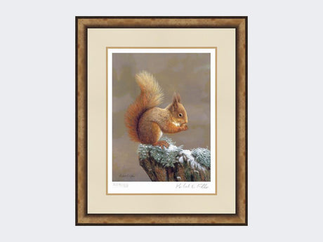 Squirrel-Nutkin-Print-Small-Light-Burr