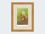 Squirrel-of-Aviemore-Print-Light-Oak