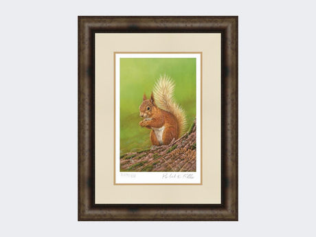 Squirrel-of-Aviemore-Print-Medium-Dark-Grey-Burr