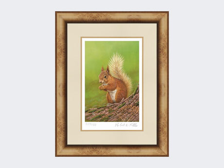 Squirrel-of-Aviemore-Print-Medium-Light-Burr