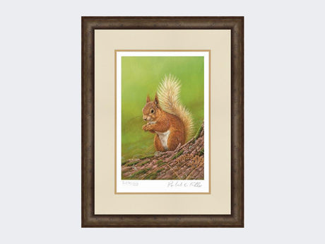 Squirrel-of-Aviemore-Print-Small-Dark-Grey-Burr