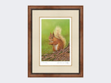 Squirrel-of-Aviemore-Print-Small-Walnut-Burr