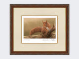 Squirrel-of-Formby-Print-Harvest-Twist