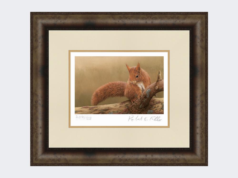 Squirrel-of-Formby-Print-Medium-Dark-Grey-Burr