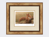 Squirrel-of-Formby-Print-Medium-Light-Burr