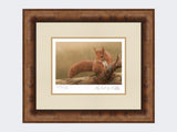 Squirrel-of-Formby-Print-Medium-Walnut-Burr