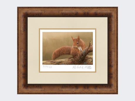 Squirrel-of-Formby-Print-Medium-Walnut-Burr