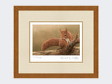 Squirrel-of-Formby-Print-Rustic-Country