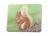 Squirrel | Tableware