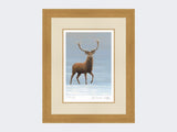 Studley-Royal-Stag-Print-Light-Oak