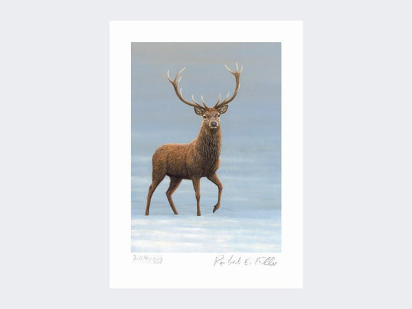 Studley Royal Stag | Limited Edition Art Print