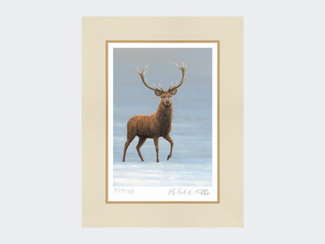 Studley-Royal-Stag-Print-Mounted-Print-Only