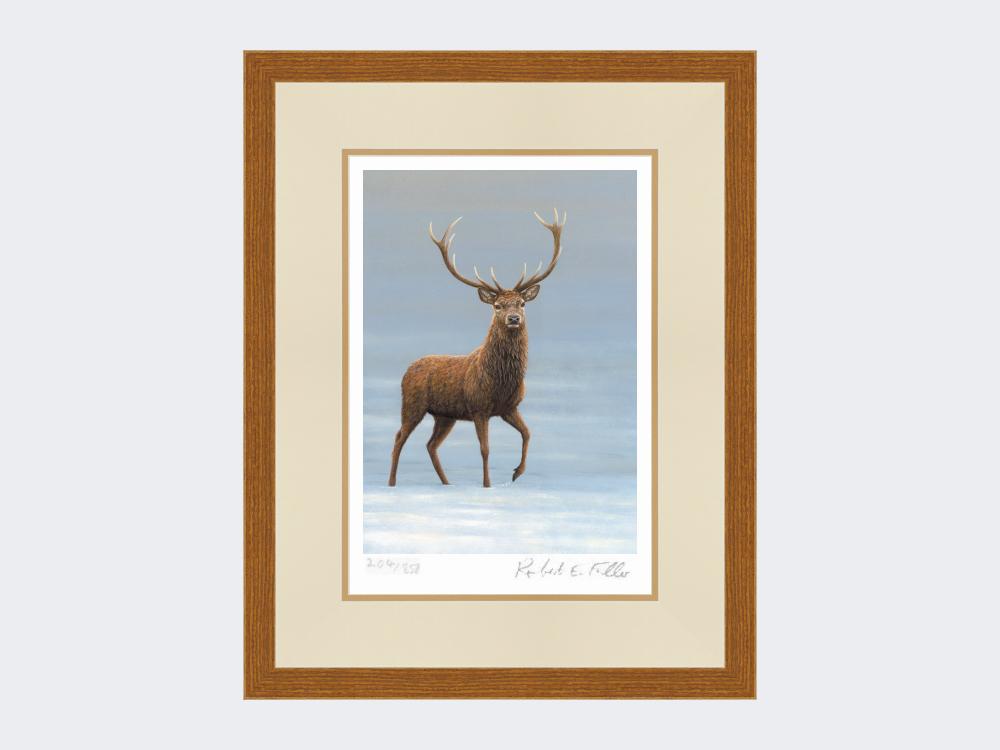 Studley-Royal-Stag-Print-Rustic-Country