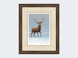 Studley-Royal-Stag-Print-Small-Dark-Grey-Burr