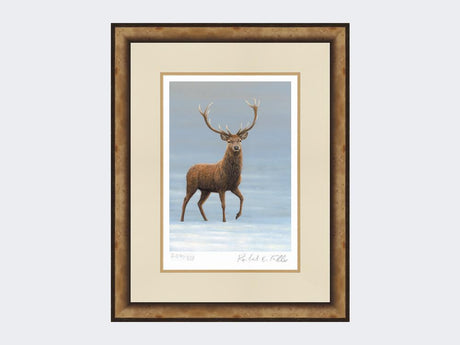 Studley-Royal-Stag-Print-Small-Light-Burr