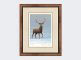 Studley-Royal-Stag-Print-Small-Walnut-Burr