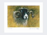 Swaledale-Print-Loose-Print-Only