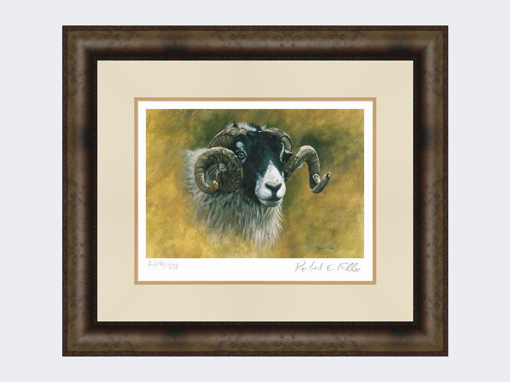 Swaledale-Print-Medium-Dark-Grey-Burr