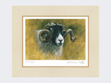 Swaledale-Print-Mounted-Print-Only