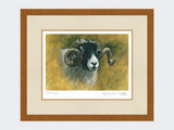 Swaledale-Print-Rustic-Country