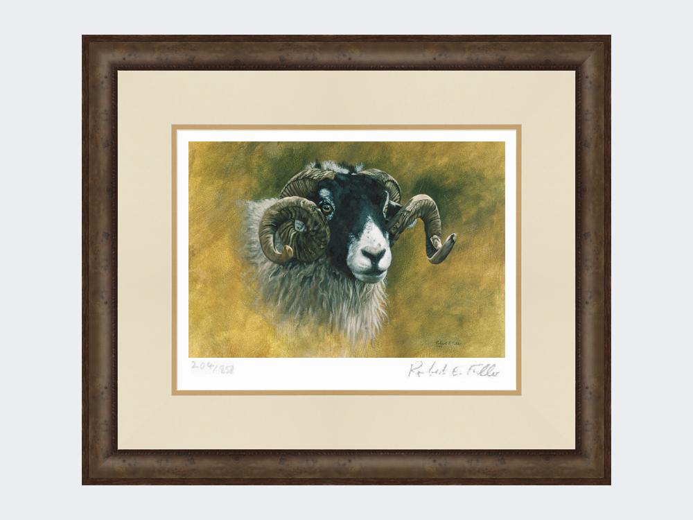 Swaledale-Print-Small-Dark-Grey-Burr