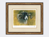 Swaledale-Print-Small-Light-Burr