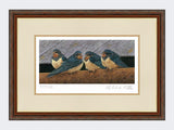 Swallow-Fledglings-Print-Harvest-Twist