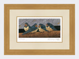 Swallow-Fledglings-Print-Light-Oak