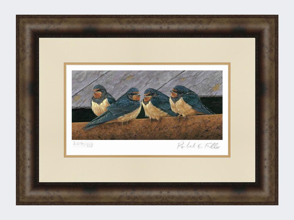 Swallow-Fledglings-Print-Medium-Dark-Grey-Burr