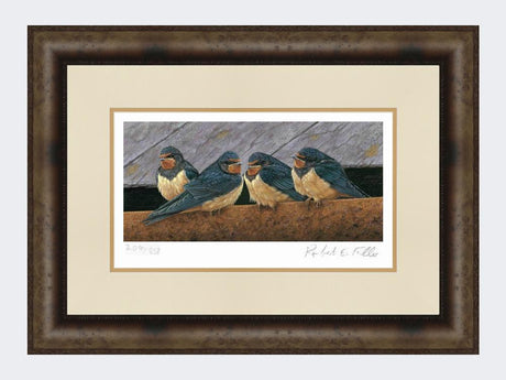 Swallow-Fledglings-Print-Medium-Dark-Grey-Burr