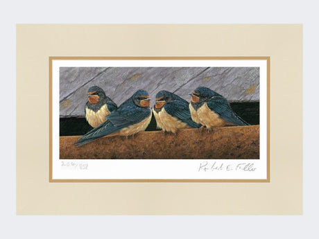 Swallow-Fledglings-Print-Mounted-Print-Only