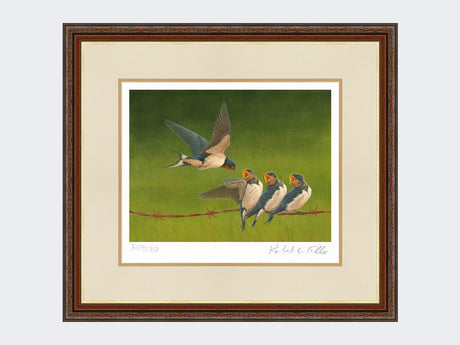 Swallows-Time-for-Tea-Harvest-Twist