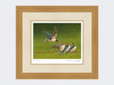 Swallows-Time-for-Tea-Light-Oak