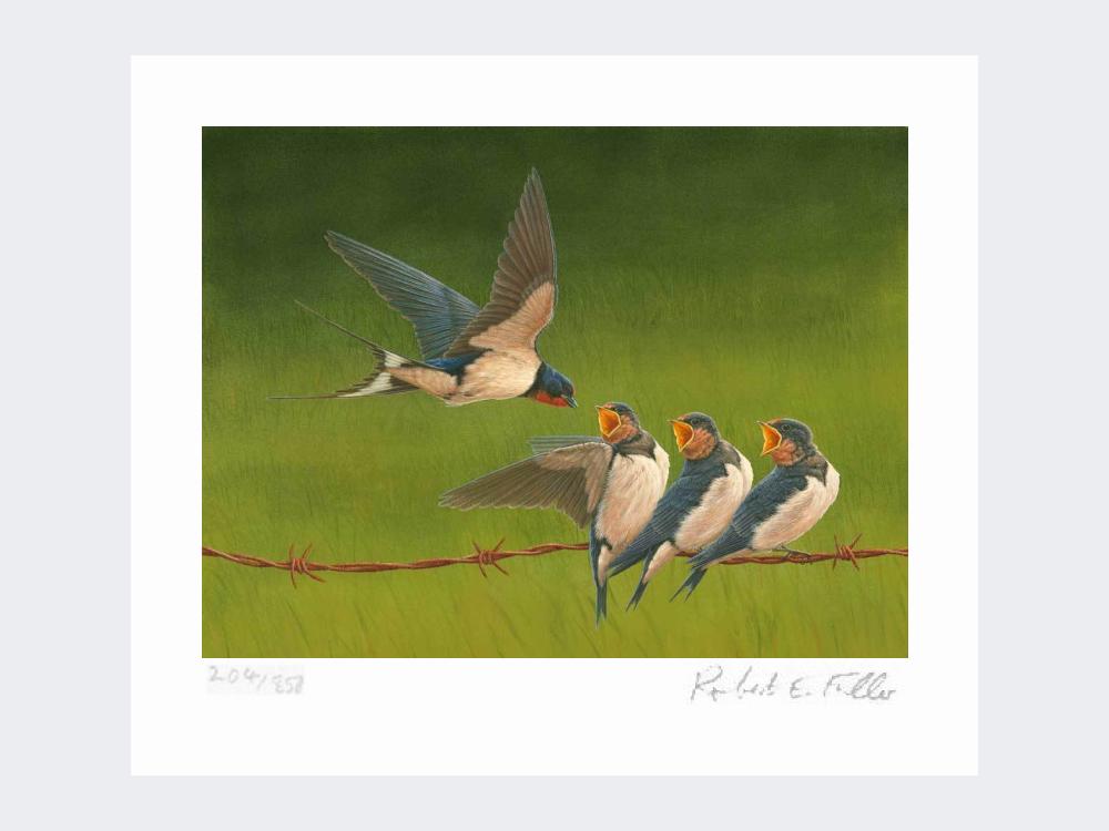 Swallows-Time-for-Tea-Loose-Print-Only