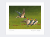 Swallows-Time-for-Tea-Loose-Print-Only