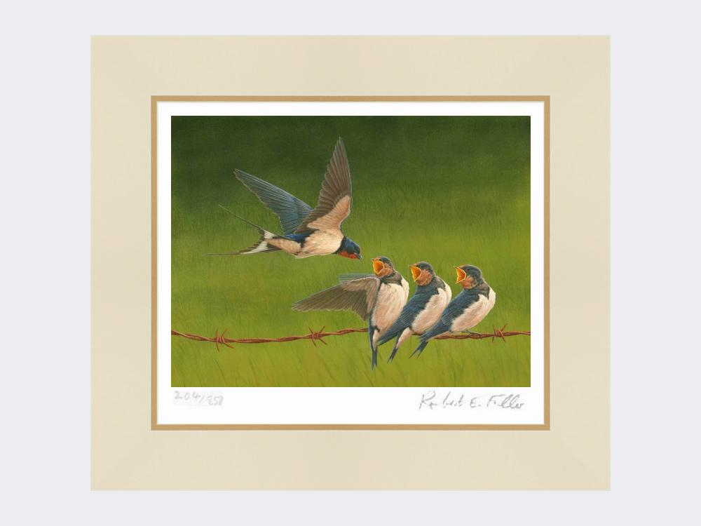 Swallows-Time-for-Tea-Mounted-Print-Only