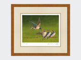 Swallows-Time-for-Tea-Rustic-Country