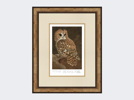 Tawny-Owl-on-Lookout-Prin-Small-Light-Burr