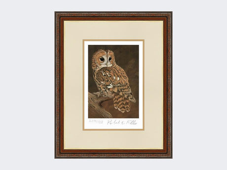 Tawny-Owl-on-Lookout-Print-Harvest-Twist