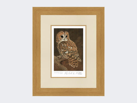 Tawny-Owl-on-Lookout-Print-Light-Oak