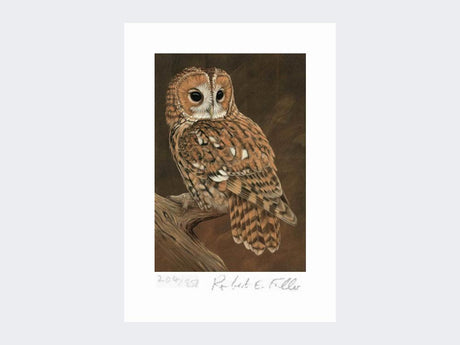 Tawny-Owl-on-Lookout-Print-Loose-Print-Only