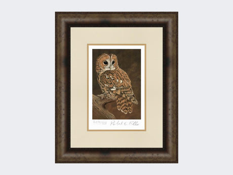 Tawny-Owl-on-Lookout-Print-Medium-Dark-Grey-Burr