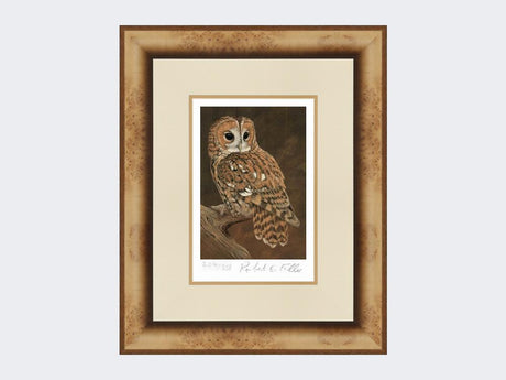 Tawny-Owl-on-Lookout-Print-Medium-Light-Burr