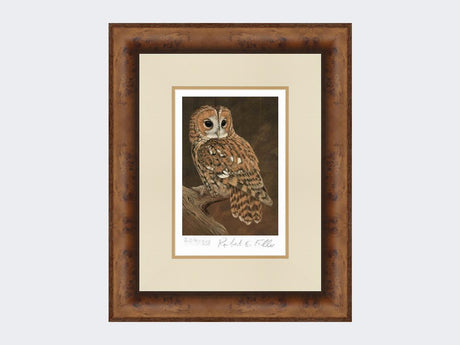 Tawny-Owl-on-Lookout-Print-Medium-Walnut-Burr