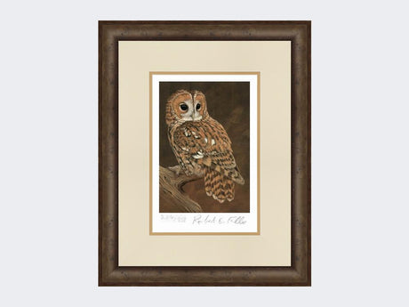 Tawny-Owl-on-Lookout-Print-Small-Dark-Grey-Burr