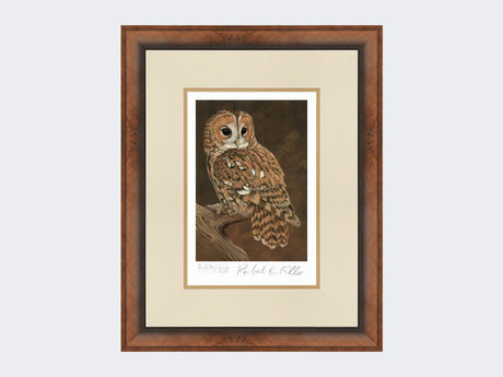 Tawny-Owl-on-Lookout-Print-Small-Walnut-Burr