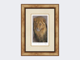 The-Lion-King-Print-Medium-Light-Burr